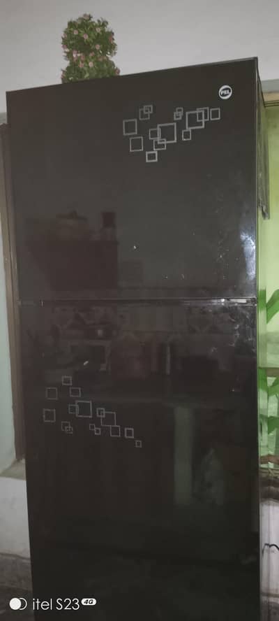 Full size Glass door