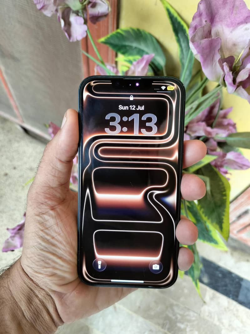 Apple iPhone 13 0