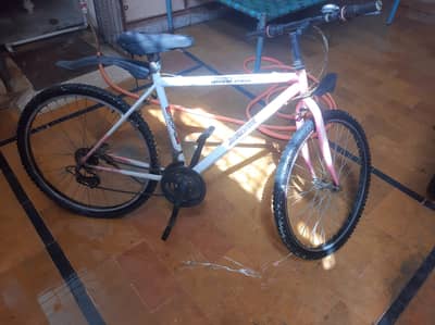 Bicycle