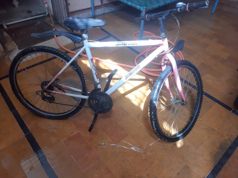 Bicycle 0