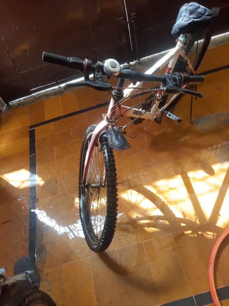 Bicycle 1