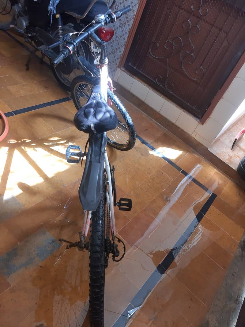 Bicycle 2