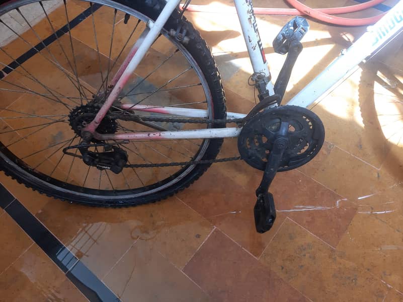 Bicycle 3