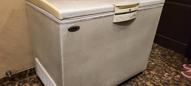 Waves double door deep freezer