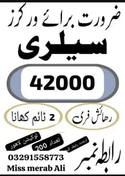 need urgent staff innovative biscuits packing male and female jobs