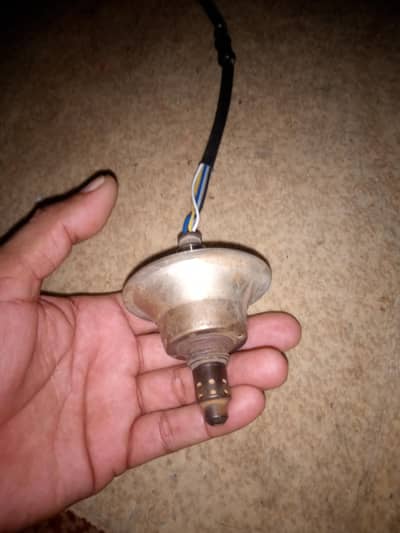 oxygen sensor