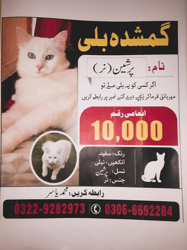 Missing persion cat 0