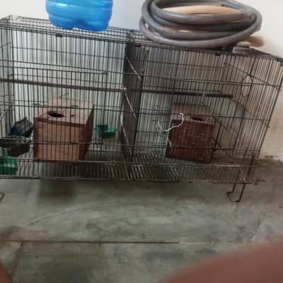 cage for parrots
