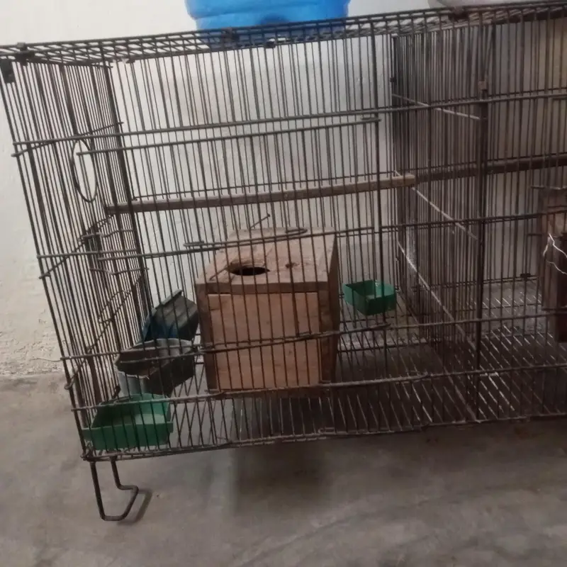 cage for parrots — photo 2