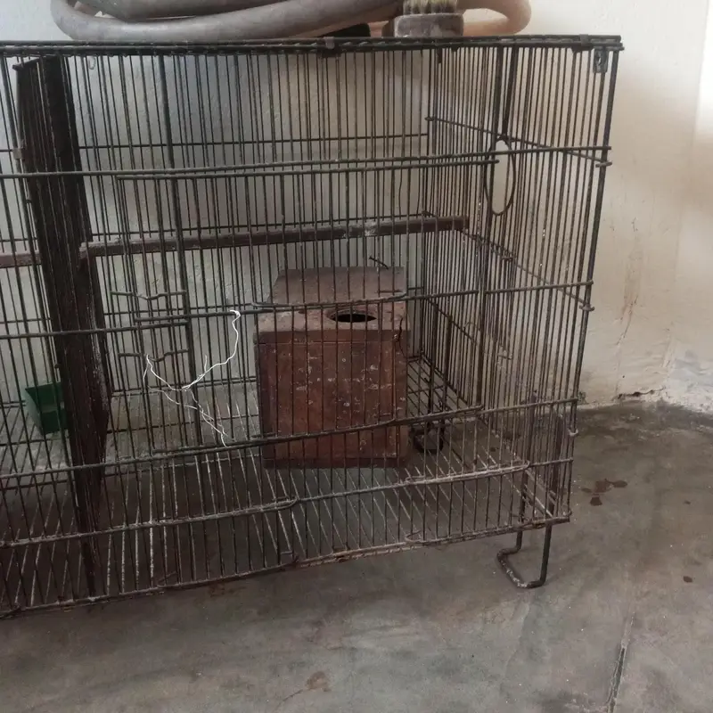 cage for parrots — photo 3