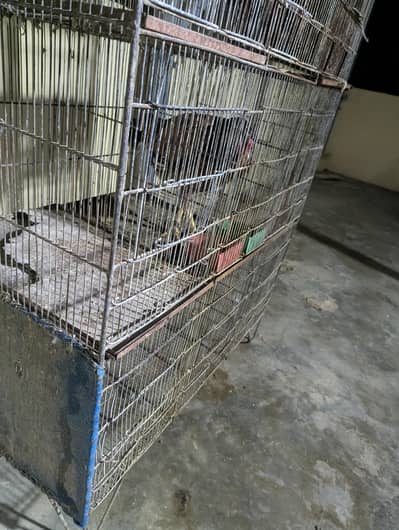 15 portion cage 1*1.5 size portion size