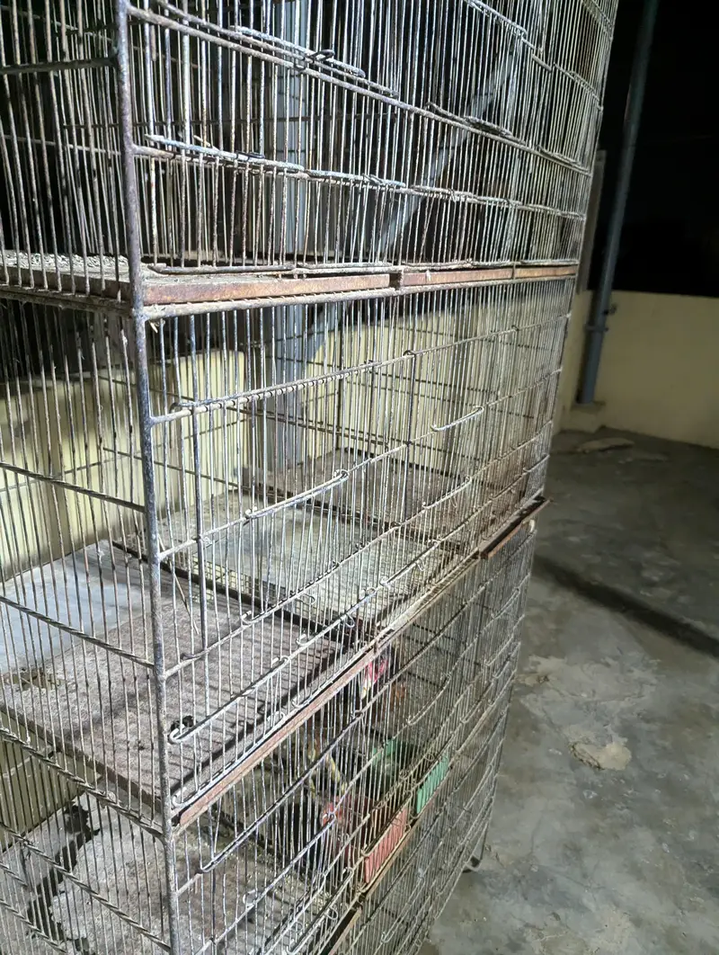 15 portion cage 1*1.5 size portion size — photo 2