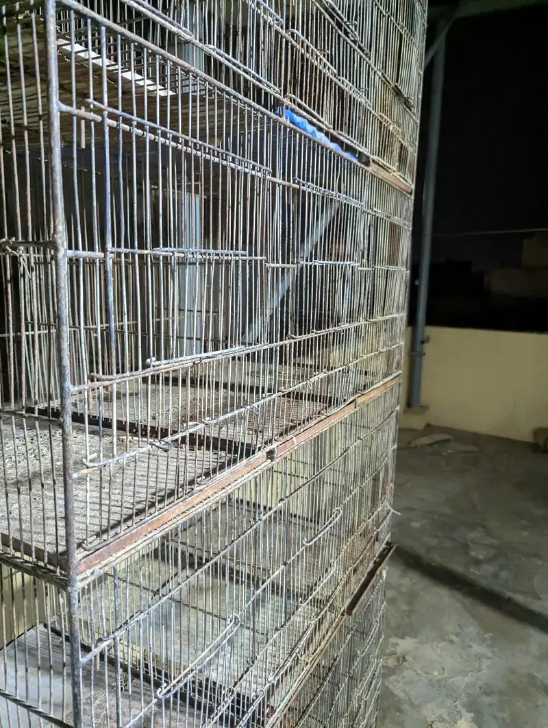 15 portion cage 1*1.5 size portion size — photo 3