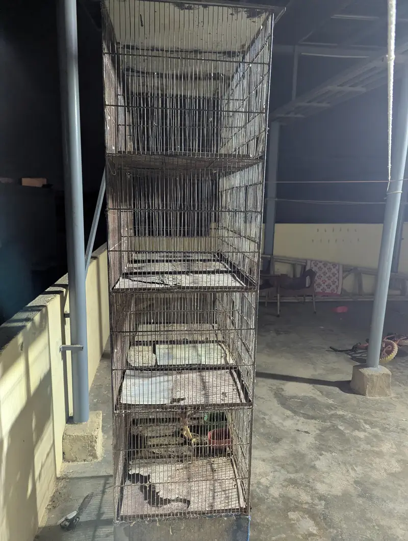 15 portion cage 1*1.5 size portion size — photo 5
