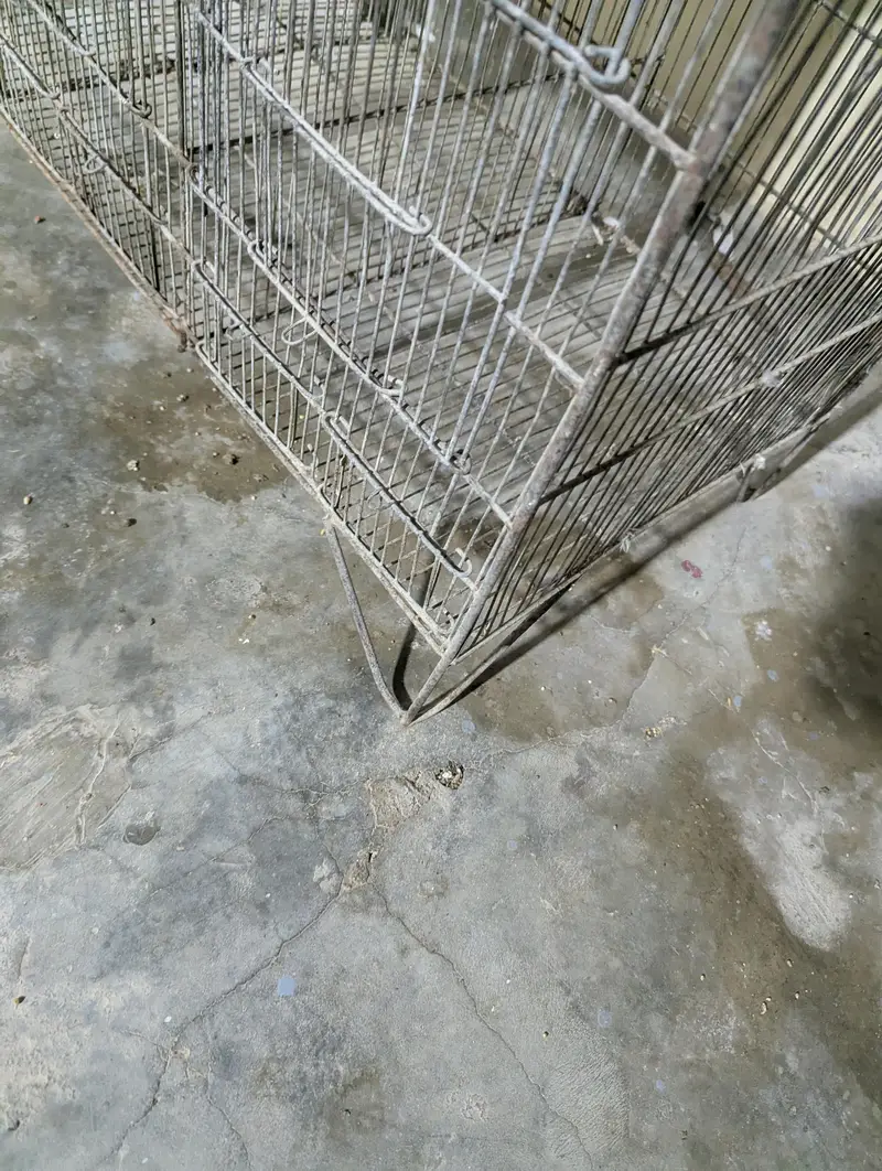 15 portion cage 1*1.5 size portion size — photo 6