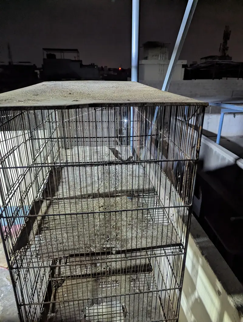 15 portion cage 1*1.5 size portion size — photo 7