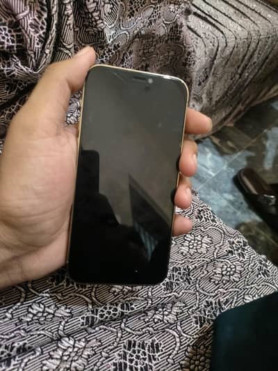 Apple iPhone 12 pro