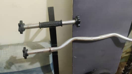 Gym Bench for Sale