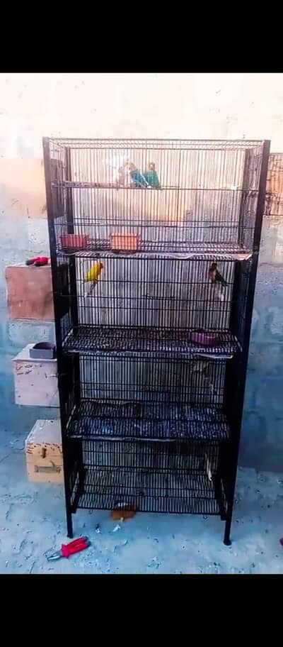 4 portion cage