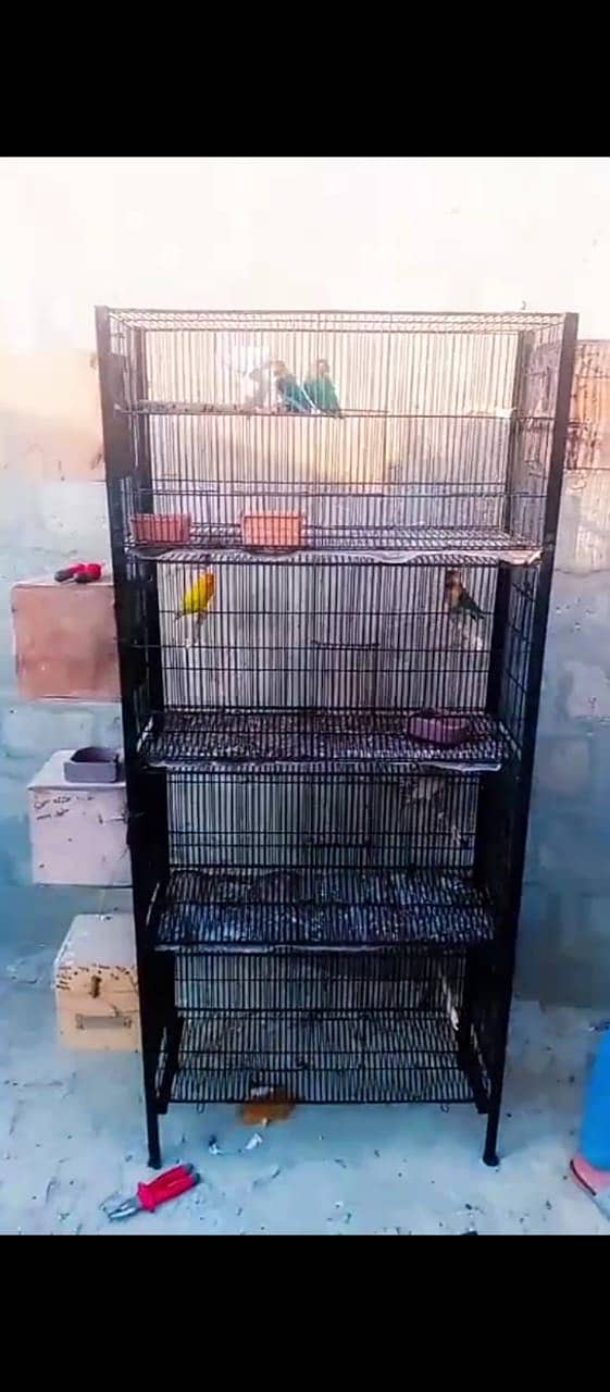 4 portion cage 3
