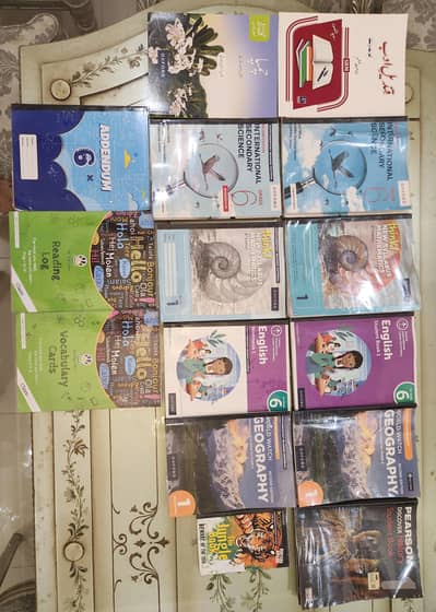 Grade 6 and 3 City school PAF chapter text books