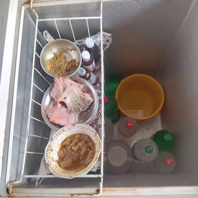 hair double chest refrigerator for sell  working