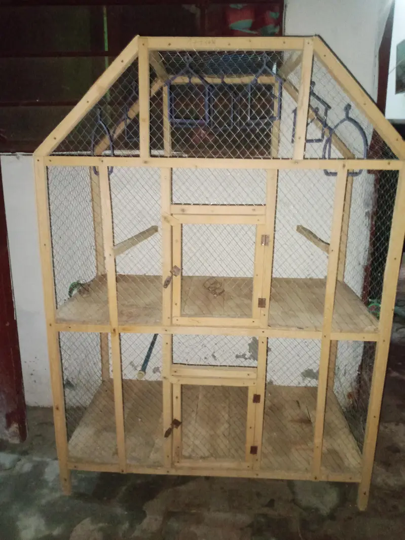Birds Cage available for sale