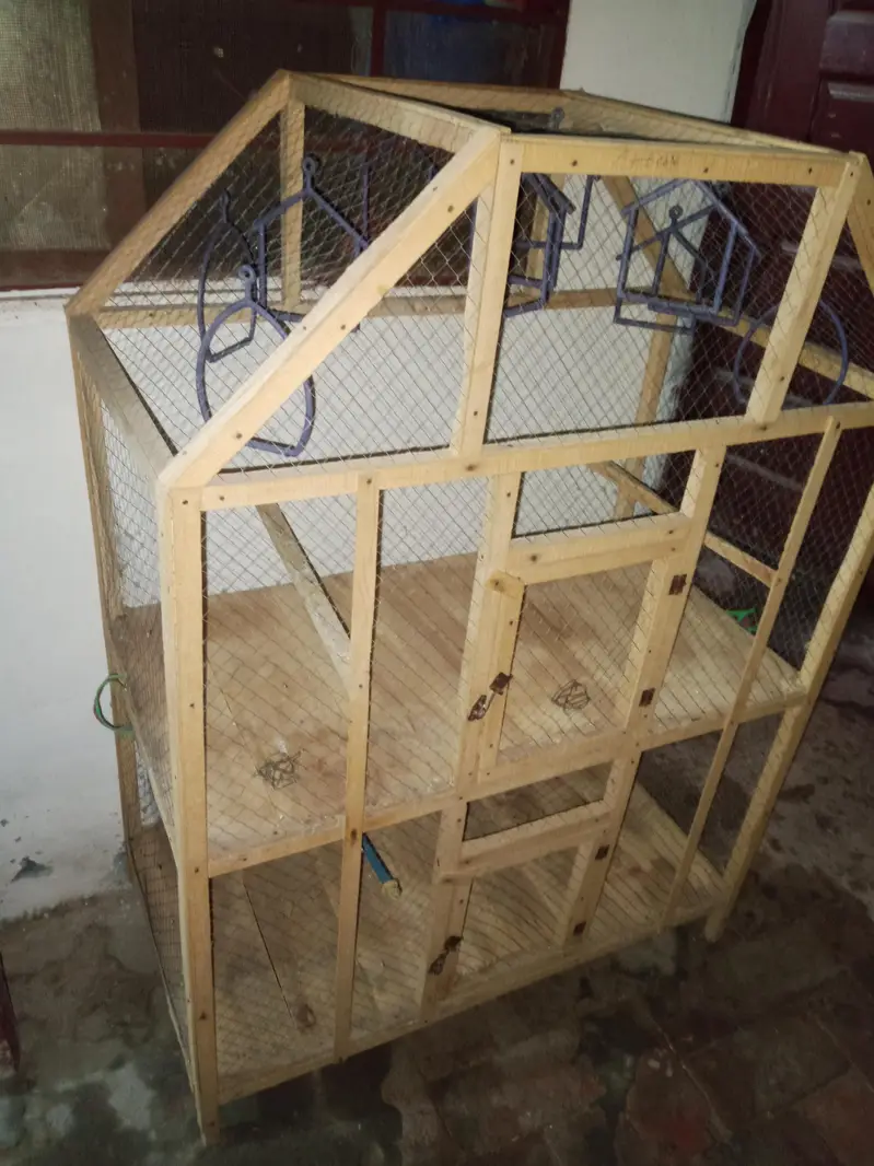 Birds Cage available for sale — photo 2