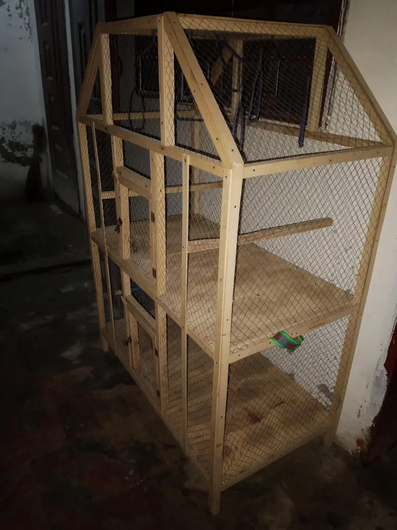 Birds Cage available for sale — photo 3
