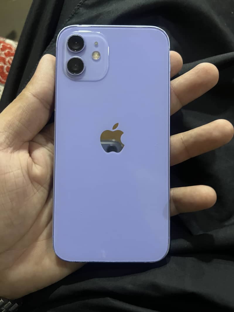 Apple iPhone 12 1