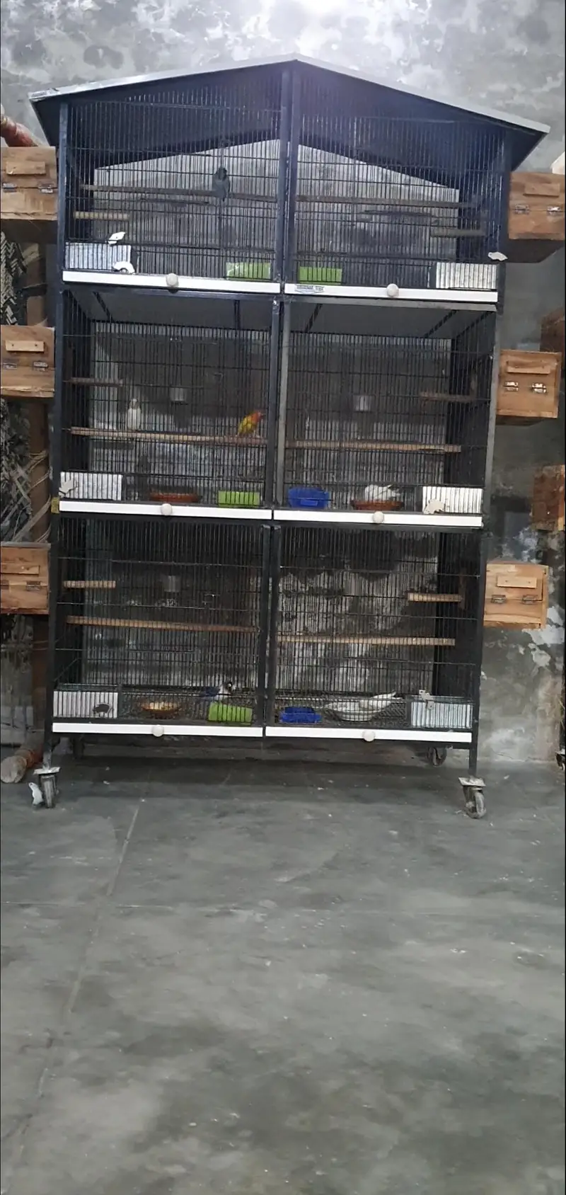 cage for birds or hen
