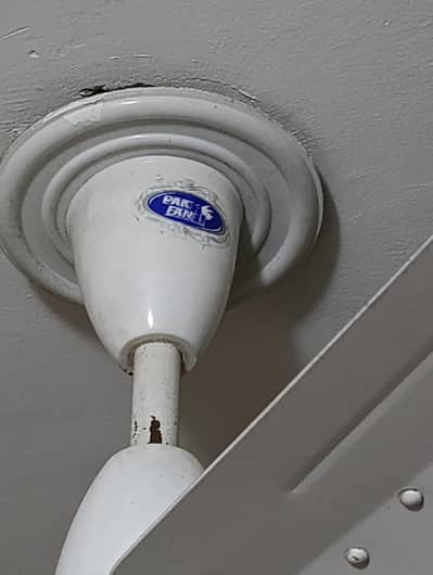Ceiling Fan 56"
