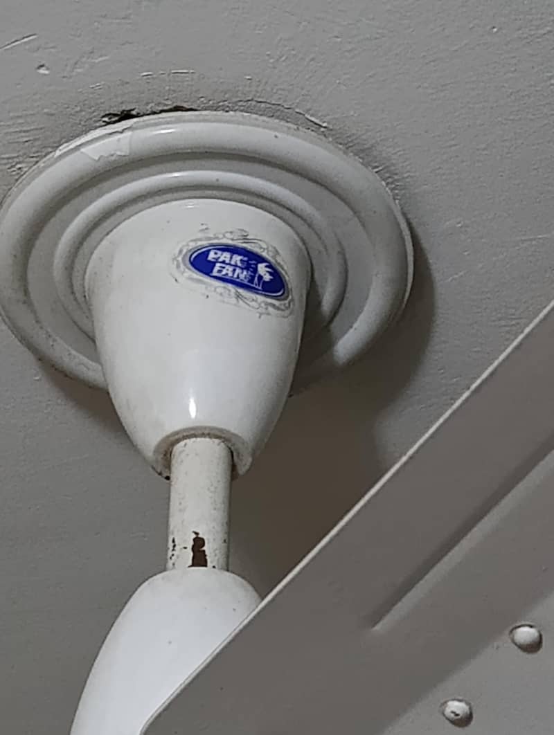 Ceiling Fan 56" 0