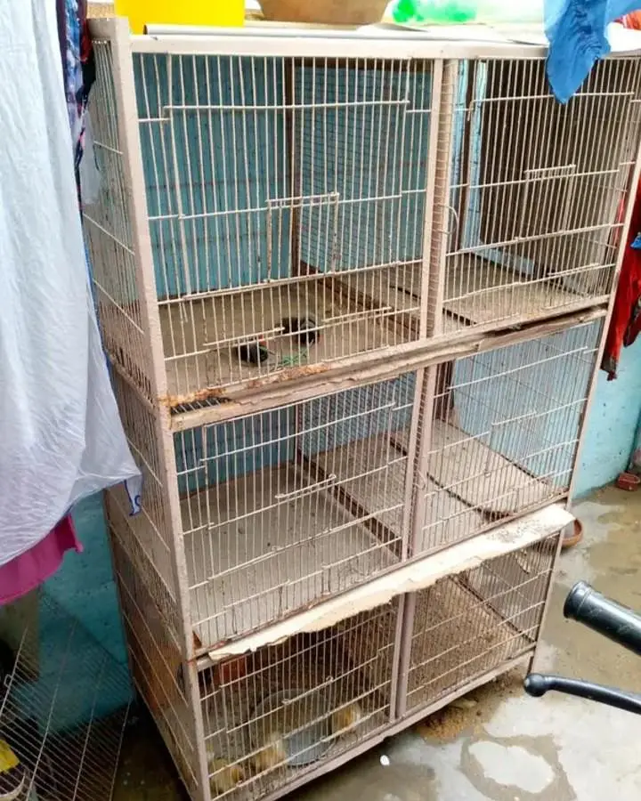 cages