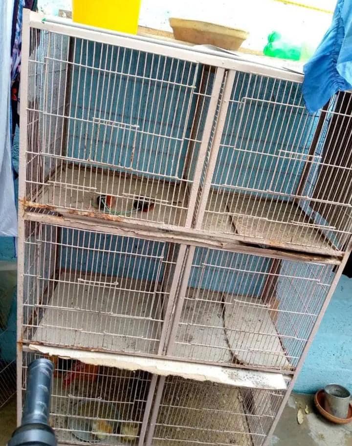 cages 1