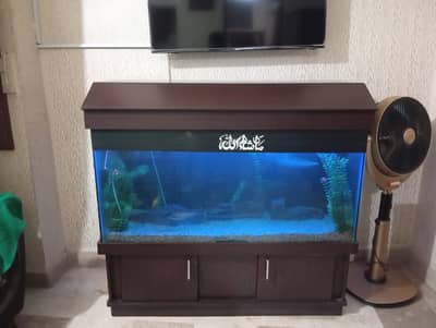 Aquarium Complete Setup