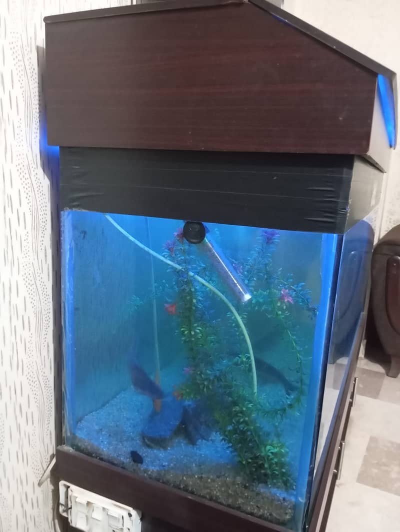 Aquarium Complete Setup 1