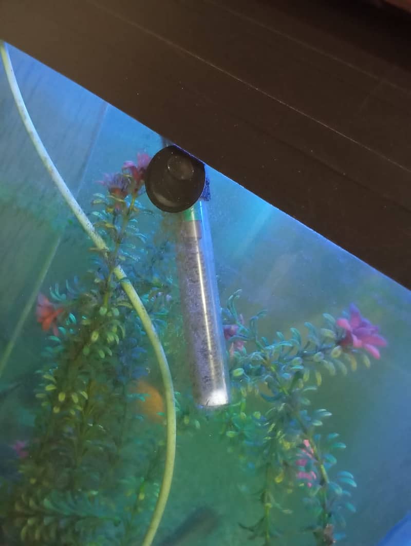 Aquarium Complete Setup 3