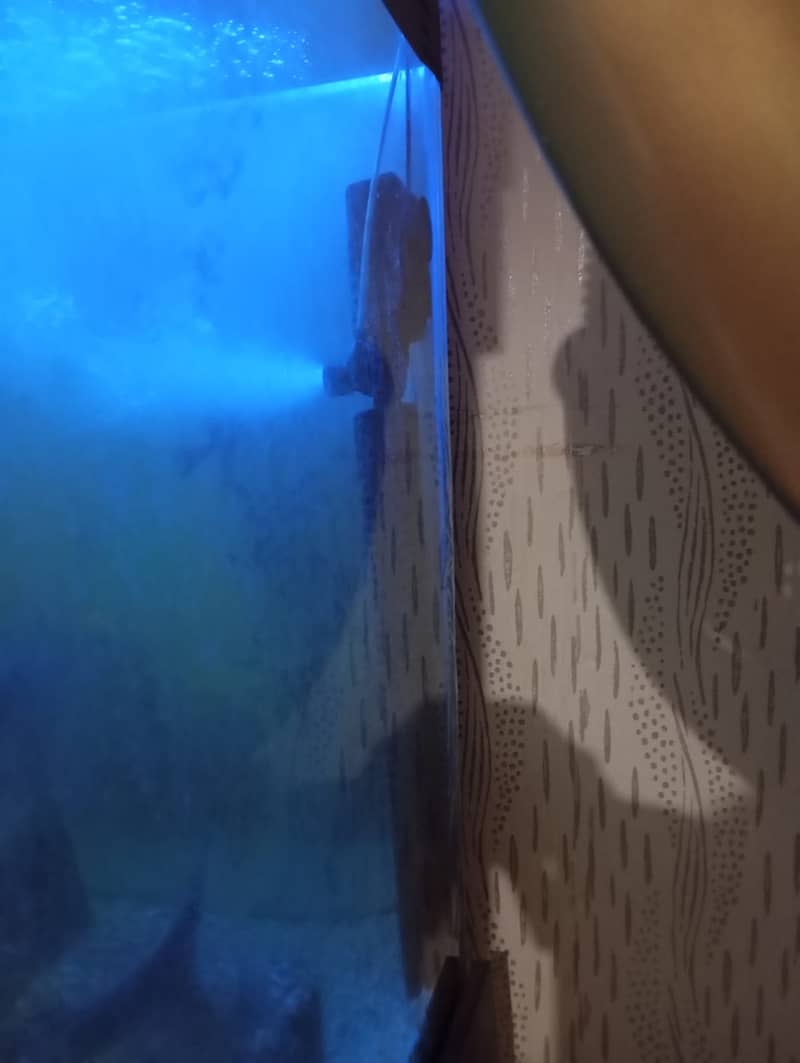 Aquarium Complete Setup 4