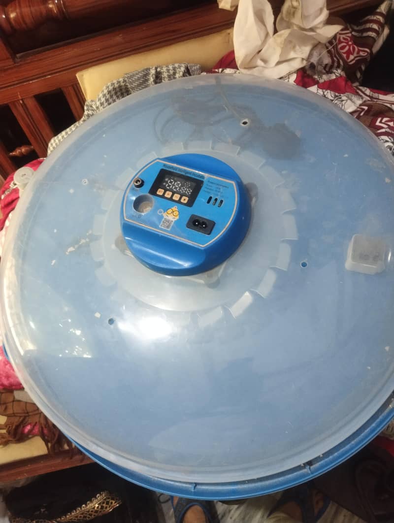 Automatic incubator 52 eggs 1