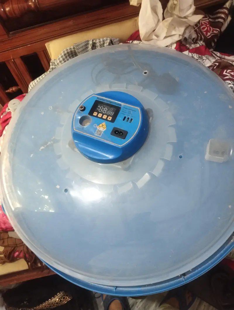 Automatic incubator 52 eggs — photo 2