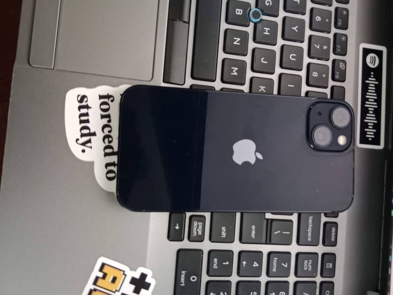 iPhone 13 0