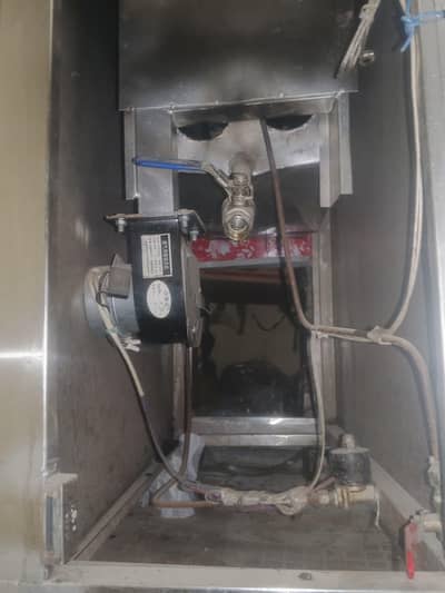 Ginger fryer