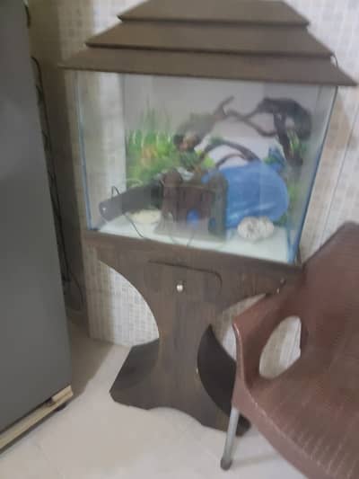 Fish Aquarium with Wooden Stand, Pump & Decorative Stones – Excellent