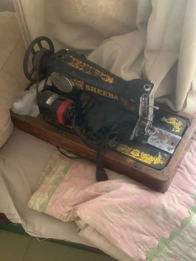 Sheeba company urgent sale