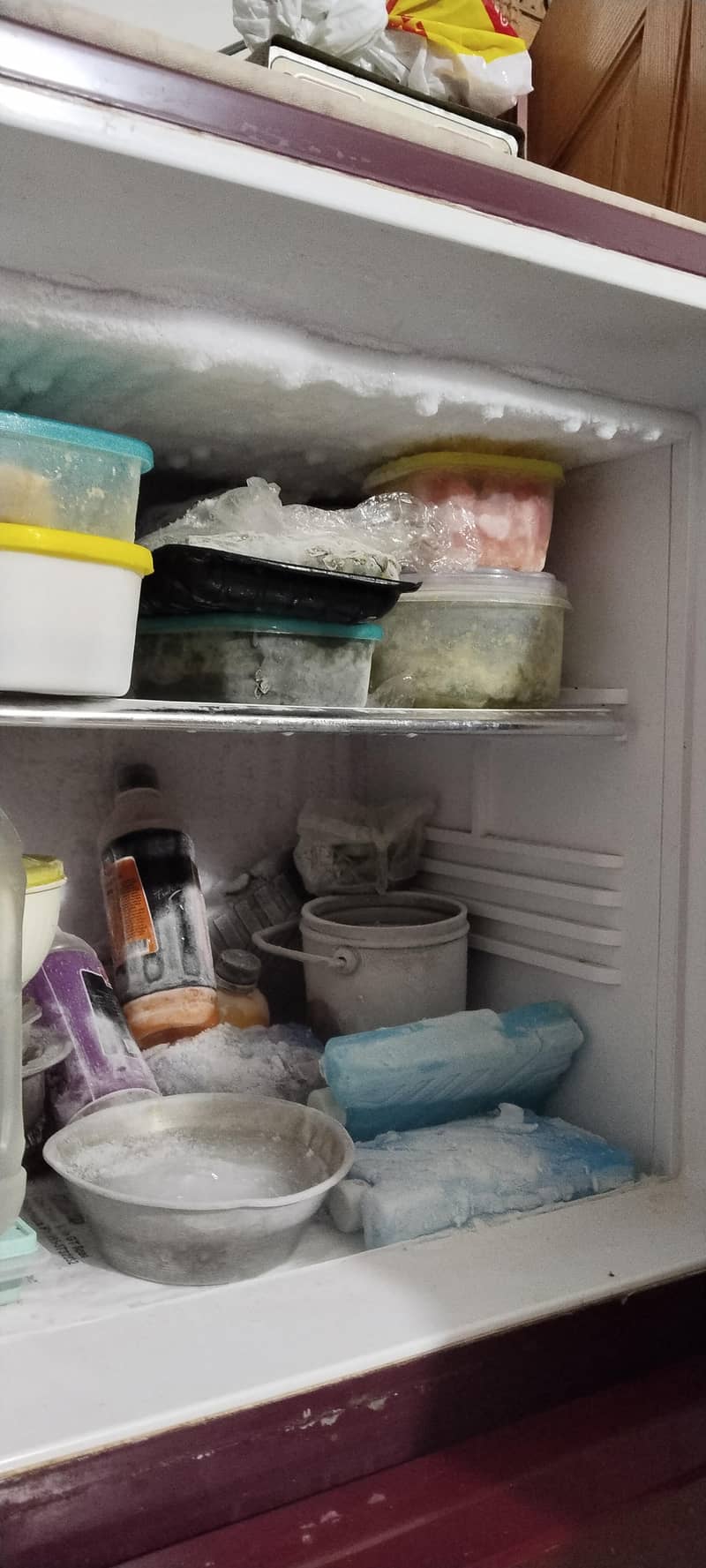 Orient Refrigerator 5