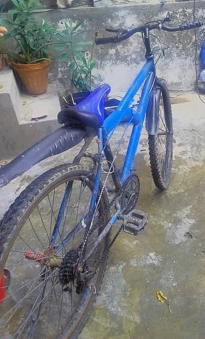 streethawk kids bicycles in blue colour