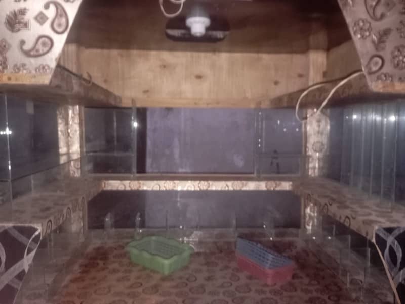 Cabin 6