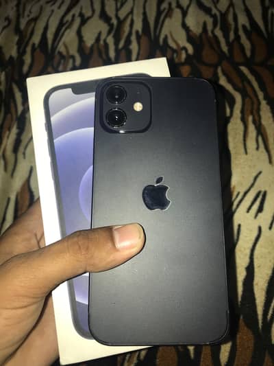 Iphone 12