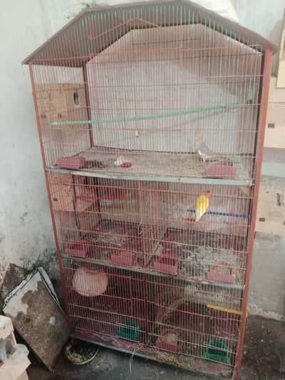 Cage sale